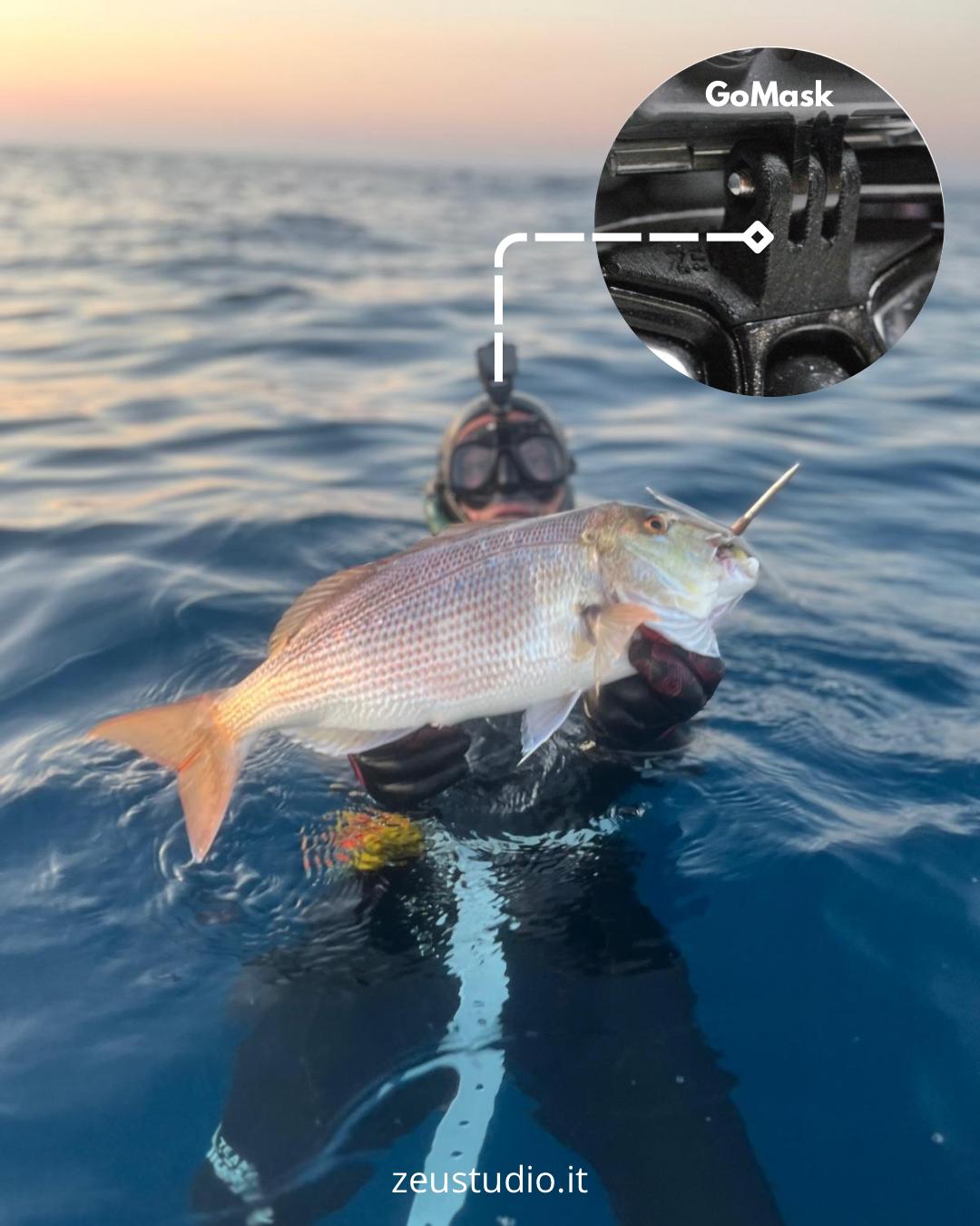 Spearfishing